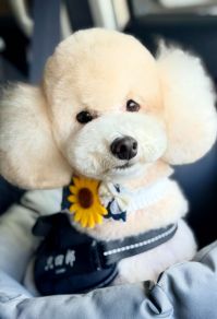 IMG_2633.jpg